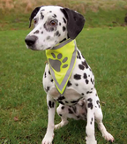 Justerbar refleks bandana. Øger hundens synlighed i mørke.
