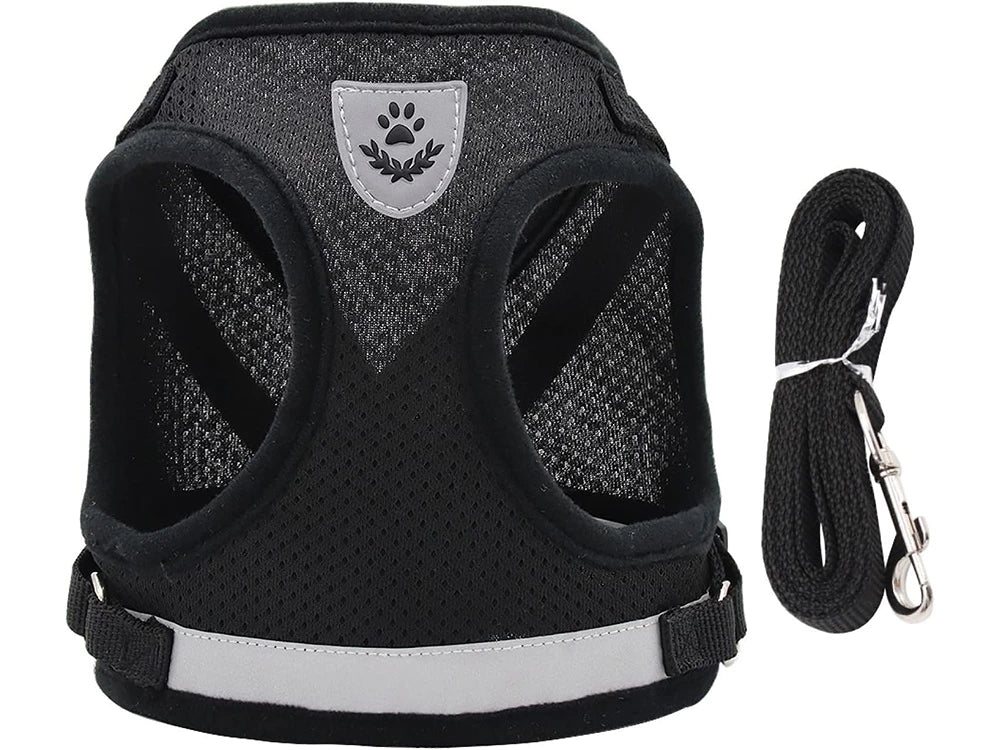 Trykfri gåsele til små hunde – XS og S, sort