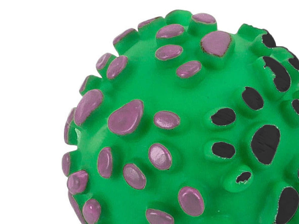 Hundelegetøj – tyggebold med pivelyd