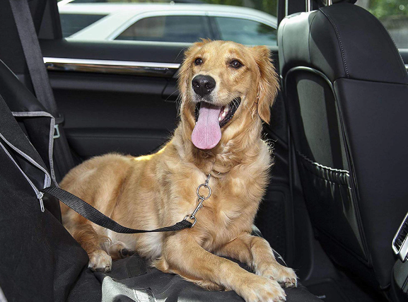 Justerbar sele til hund i bilen, passer til standard bilsele.