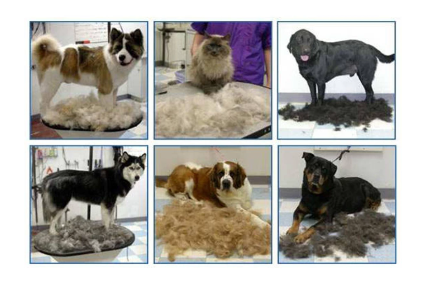 Hunde trimmer til underpels. Fjerner underuld og løs pels.