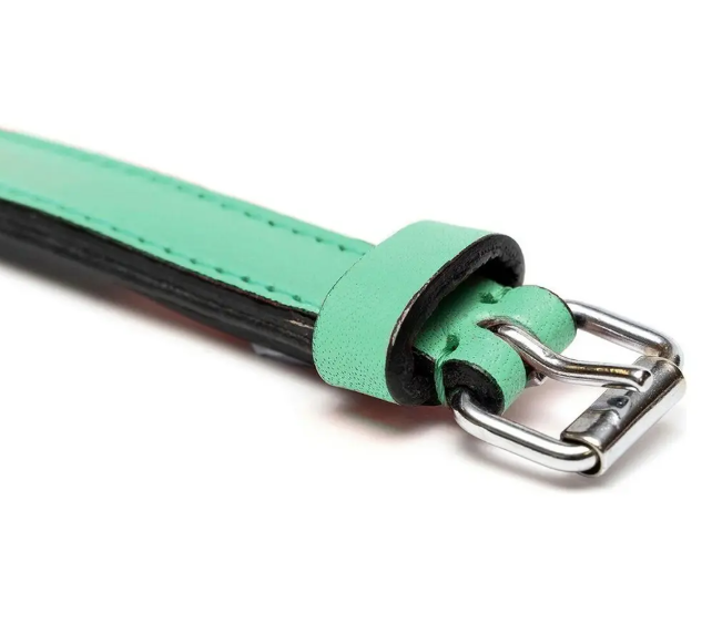 Lime grønt halsbånd til hunde 40x2cm - m. polstring.