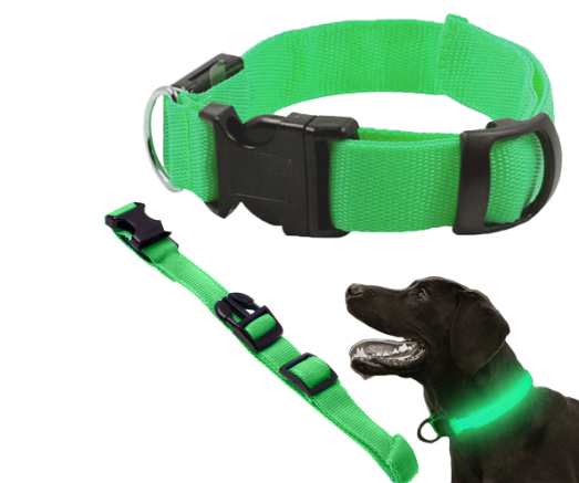 Grønt LED- halsbånd til hund. Justerbart og med 3 lys indstillinger.