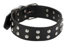 Hundehalsbånd med nitter i øko-læder. Justerbart.