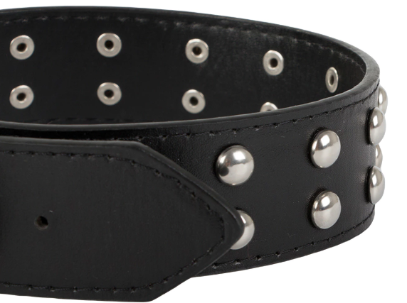 Hundehalsbånd med nitter i øko-læder. Justerbart.