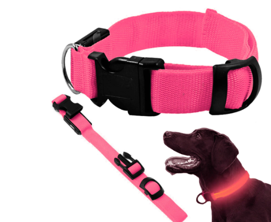 Led halsbånd til hund. Justerbart med Led, øger sikkerheden i mørket.