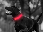Led halsbånd til hund. Justerbart med Led, øger sikkerheden i mørket.