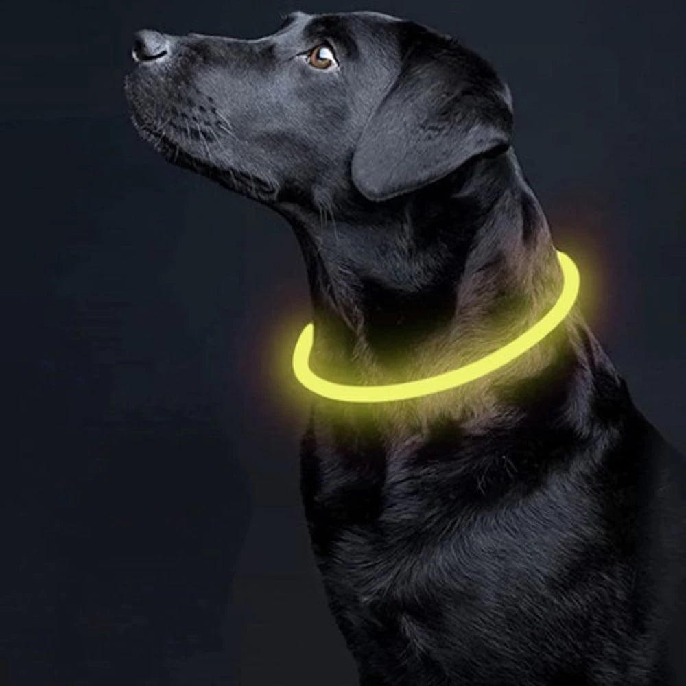 LED-hundehalsbånd med USB-opladning – justerbar, gul