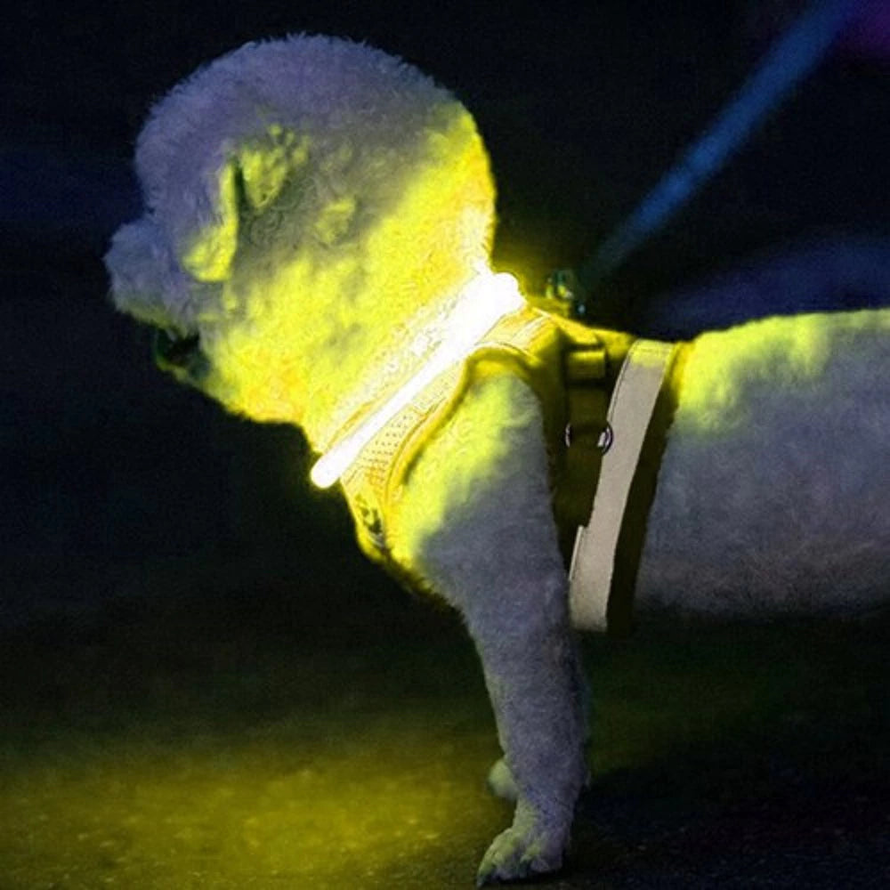 LED-hundehalsbånd med USB-opladning – justerbar, gul