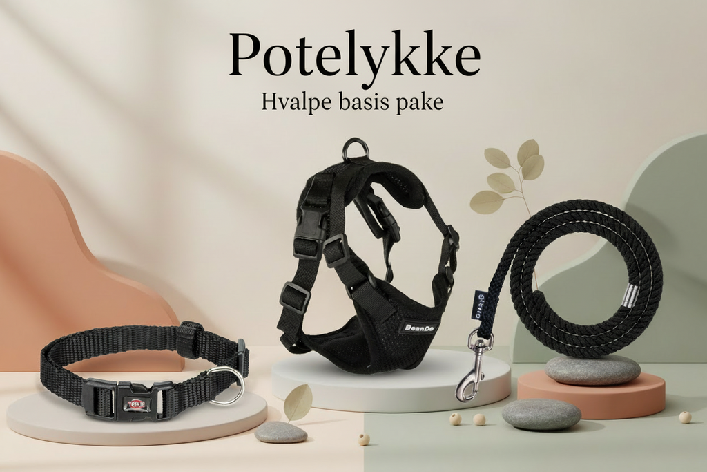 Hvalpe basis pakke