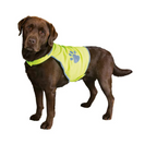 Refleksvest til hund fra Trixie i str. M. Øger hundens synlighed i mørket.
