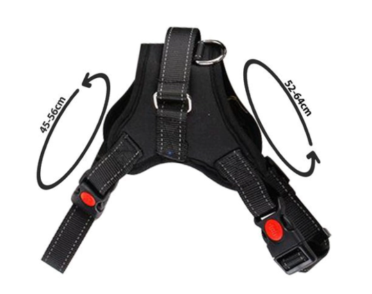 Trykfri hundesele – størrelse L og M (med refleks og håndtag)