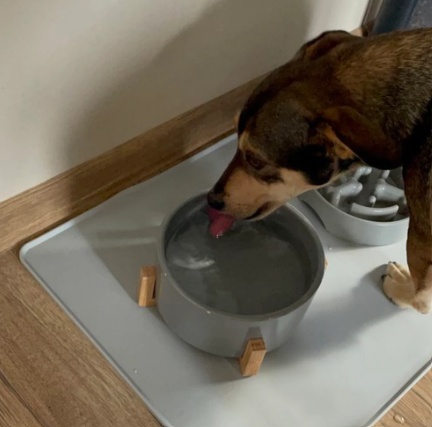 Dobbelt silikone måtte til hundeskåle - 60x45cm.